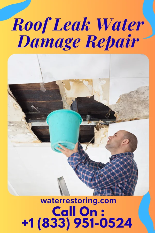 Roof Leak Water Damage Repair in Portis, KS